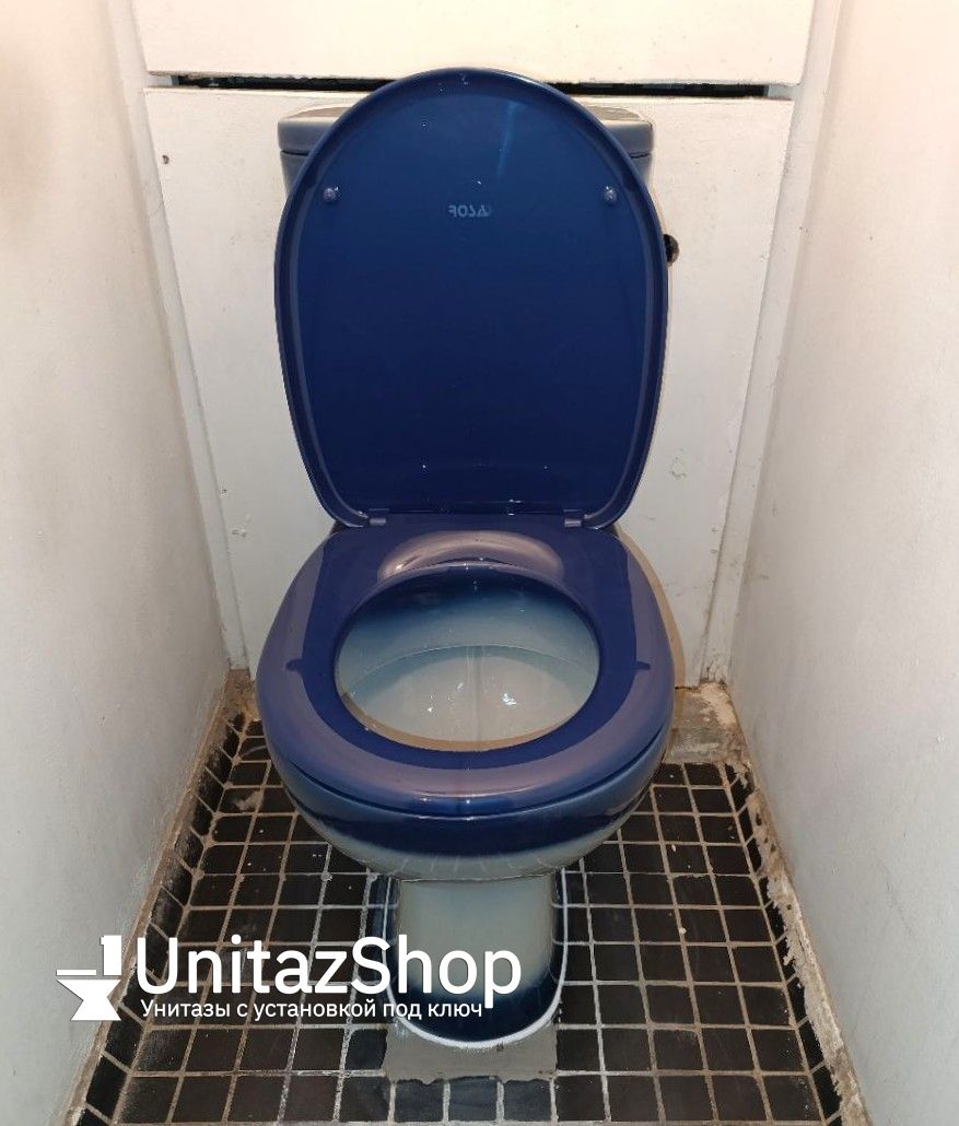 Унитаз Кировская Керамика Rosa Уют Синий Декор Выпуск Косой