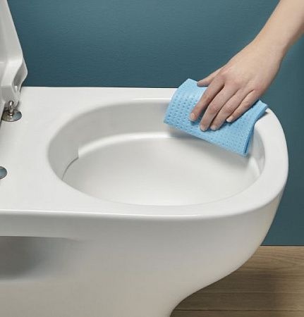 Унитаз Jacob Delafon Struktura Rimless Горизонтальный Выпуск