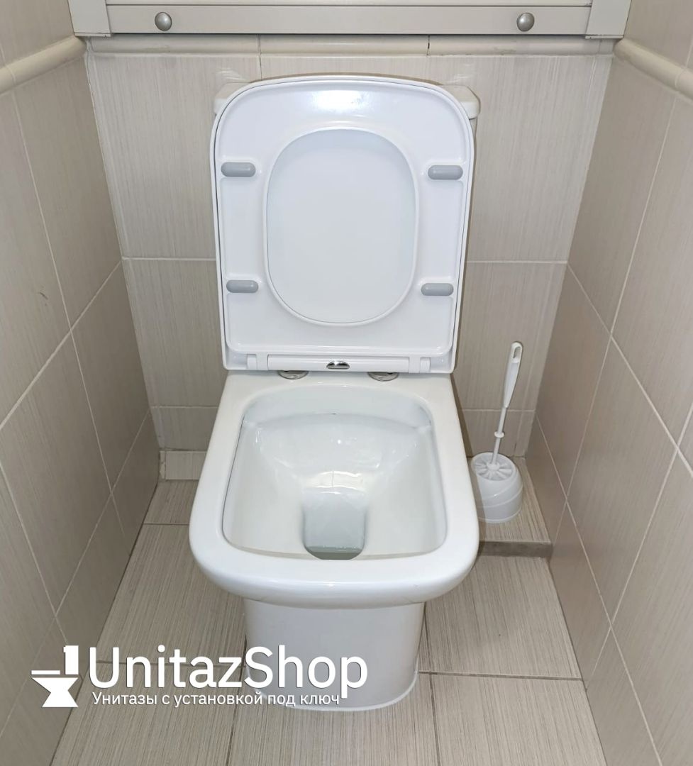 Унитаз Azario Alba AZ-8323 Безободковый Выпуск Горизонтальный