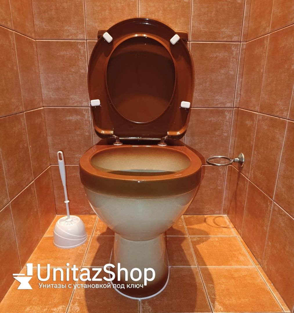 Унитаз Кировская Керамика Rosa Рио Коричневый Декор Горизонтальный Выпуск