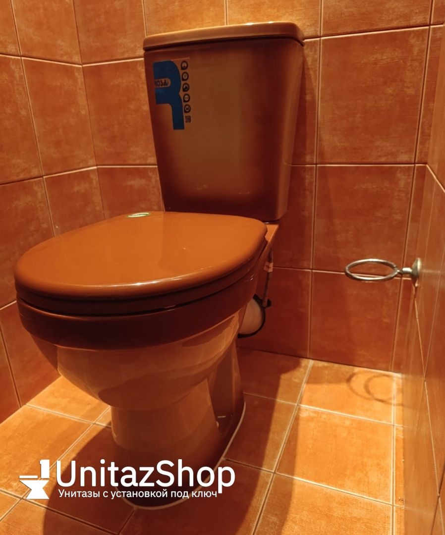 Унитаз Кировская Керамика Rosa Рио Коричневый Декор Горизонтальный Выпуск