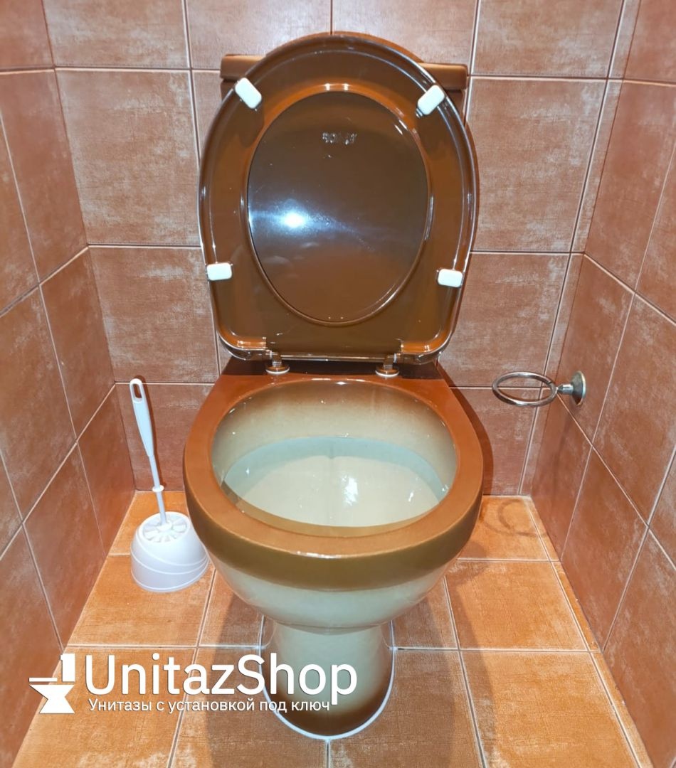 Унитаз Кировская Керамика Rosa Рио Коричневый Декор Горизонтальный Выпуск
