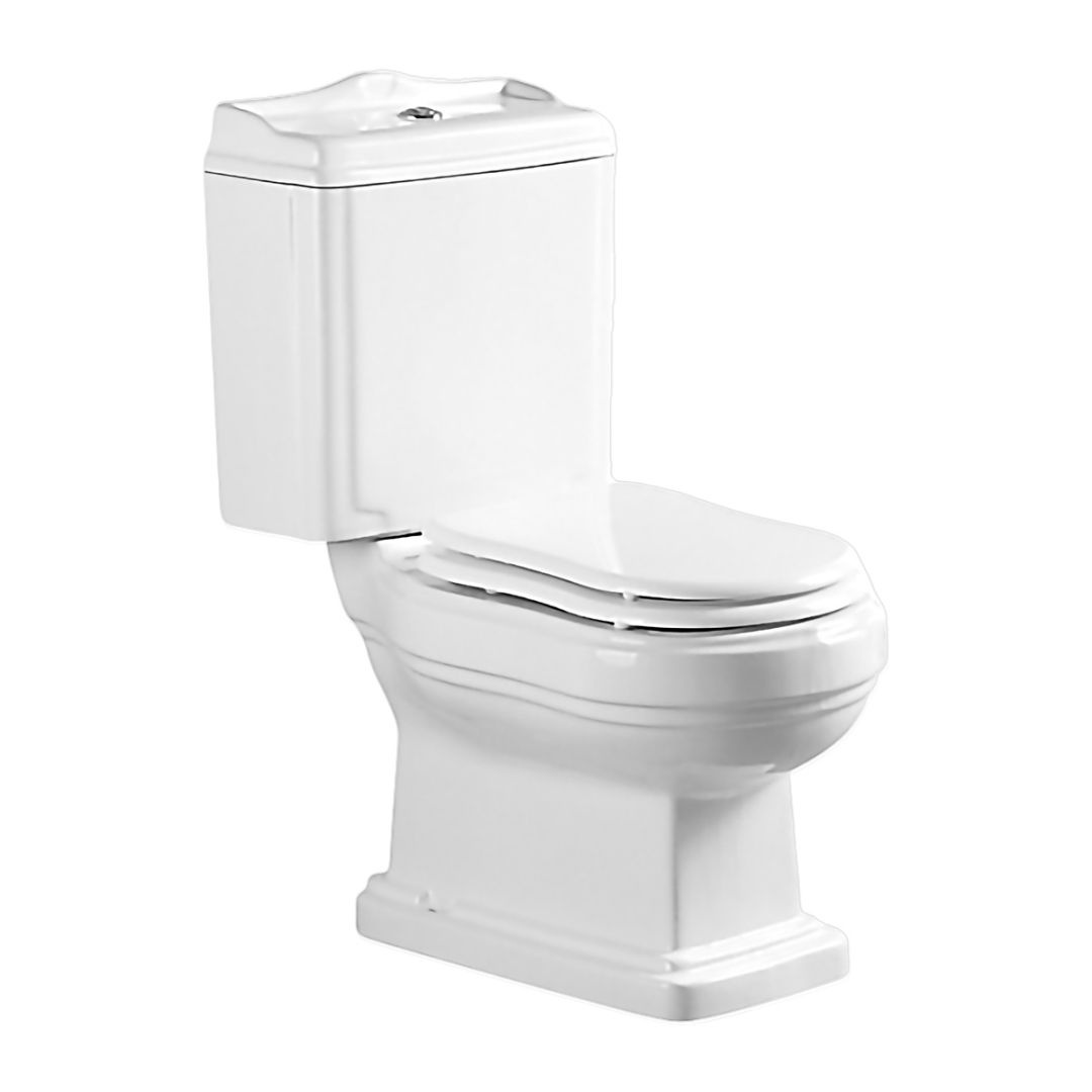 Унитаз Azario Loretti AZ-239 Безободковый Выпуск Горизонтальный