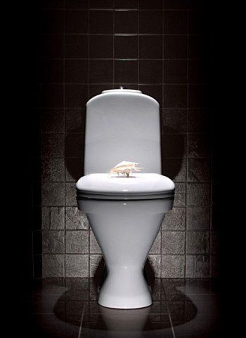 Унитаз Sanita Luxe Classic SL Косой Выпуск