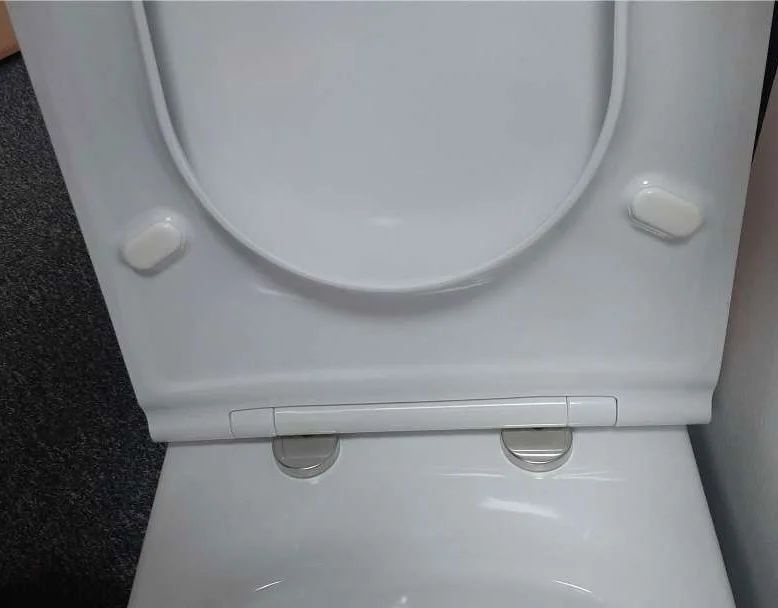 Унитаз Jacob Delafon Rodin Горизонтальный Выпуск Безободковый