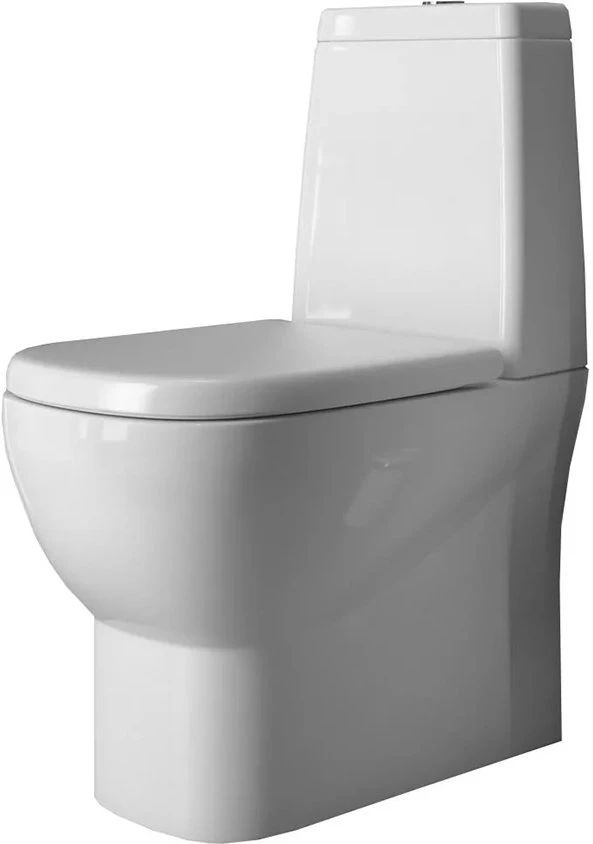 Унитаз Sanita Luxe Infinity SL DM Горизонтальный Выпуск