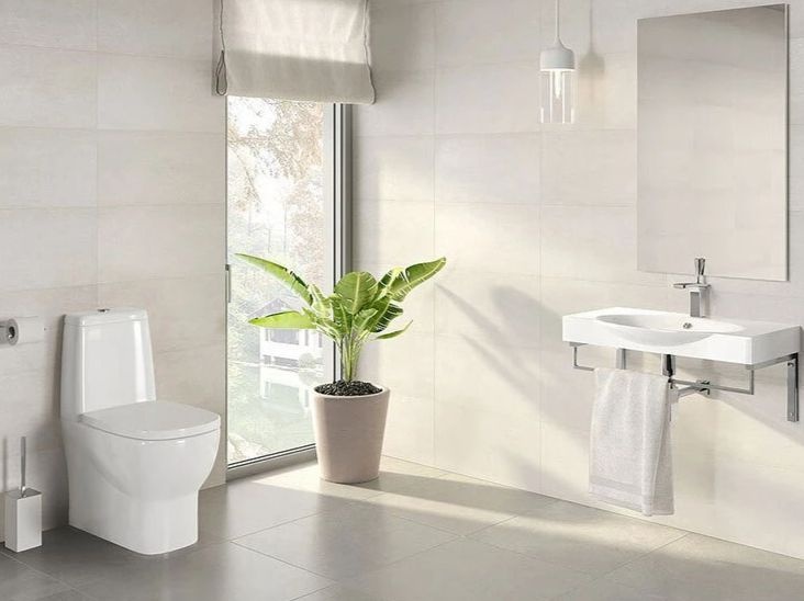 Унитаз Sanita Luxe Infinity SL DM Горизонтальный Выпуск