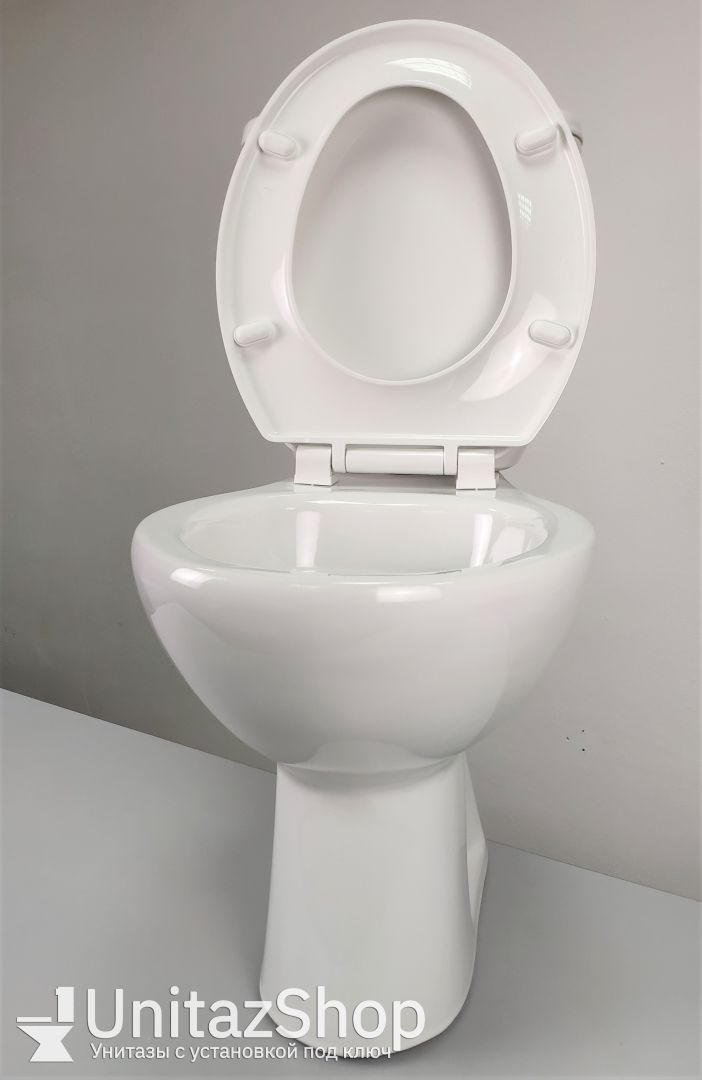 Унитаз Jacob Delafon Brive Горизонтальный Выпуск