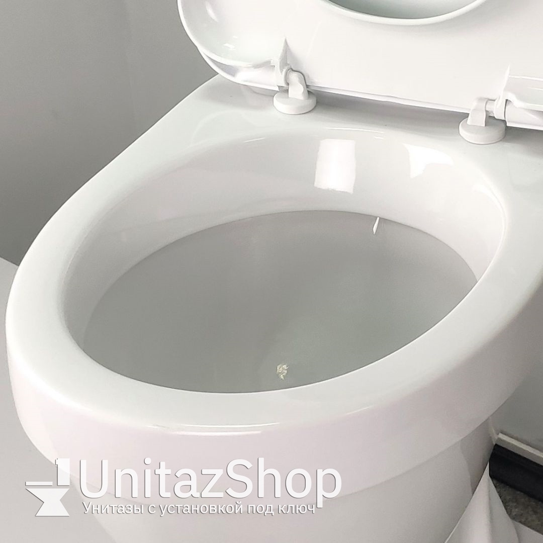 Унитаз Sanita Лада дюропласт микролифт Косой Выпуск